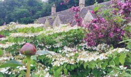 绅士吃瓜花园解压,轻松解压，畅享生活乐趣