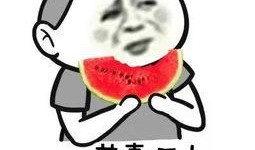 终极一班 吃瓜群众完本,吃瓜群众视角下的青春传奇