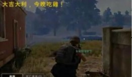 吃鸡买瓜人,揭秘游戏与生活的奇妙交融