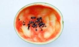 梦见用勺子吃瓜,勺子瓜香，探寻梦境中的味蕾之旅