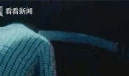 吃瓜群众违法停车,引发社会热议与反思