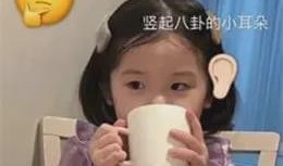 吃瓜吧程女士,揭秘娱乐圈幕后故事