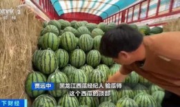 吃瓜特效同款,网红神器背后的秘密