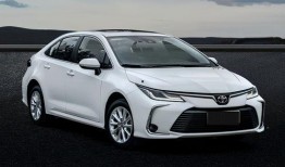 丰田卡罗拉吃瓜