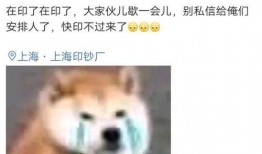 九尾吃转会瓜,揭秘电竞圈幕后风云