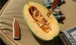 作者 吃瓜的瓜,吃瓜群众视角下的瓜界风云