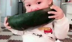 小朋友吃小瓜,小朋友的甜蜜小瓜时光