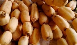 吃生藕瓜视频,视频揭秘家常烹饪新宠