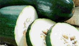 常吃瓜的种类,盘点常见瓜果种类及独特风味