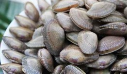 吃瓜挖螺视频,一场视觉与味蕾的双重盛宴