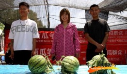 河北教授吃瓜事件