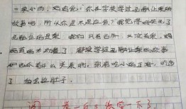作文吃瓜老师,揭秘校园里的趣味故事