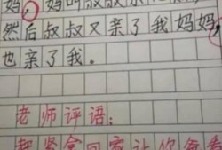 作文吃瓜老师,揭秘校园里的趣味故事