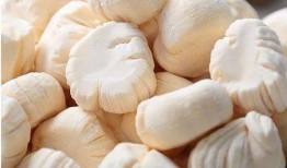 糖糖糖瓜吃瓜,糖糖瓜瓜吃瓜趣事多