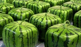 中国吃瓜缅甸,缅甸风云再起，揭秘背后真相