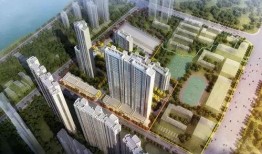 吃瓜世茂滨江女业主视频,揭秘豪宅生活背后真相