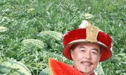 为何老人路边吃瓜,探寻老人路边吃瓜背后的温馨故事