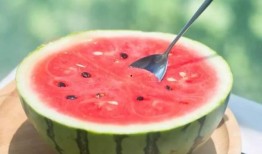 快乐吃瓜341,一场别开生面的网络狂欢盛宴