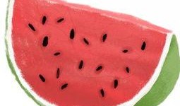 聪慧瓜皮吃瓜,揭秘网络热点的趣味解读