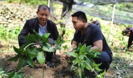 南召县吃瓜,探寻当地特色美食之旅
