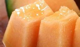 吃中药吃哈密瓜拉稀,警惕拉稀风险