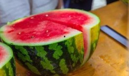 大学宿舍的吃瓜,揭秘大学宿舍里的美食传奇