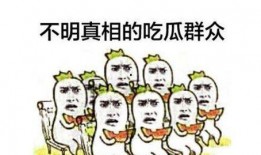 机智做鬼脸吃瓜群众,揭秘网络红人的幕后故事