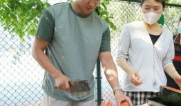 职业吃瓜专用,娱乐圈幕后风云深度解析