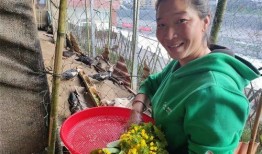 云南傈僳小伙吃瓜视频,展现民族风情与生活趣味