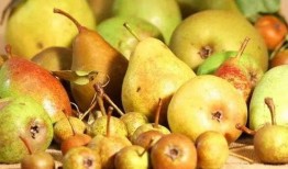 梦见吃枣吃梨吃瓜,枣梨瓜果的奇幻之旅