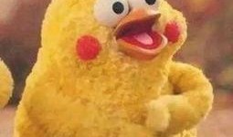 大表哥视频吃瓜