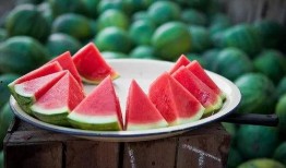 西瓜和吃瓜群众,吃瓜群众的甜蜜狂欢