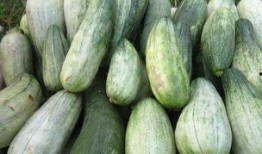 无瓜怎么吃,创意瓜果替代品探索之旅