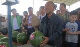 德国税务吃瓜群众,吃瓜群众视角下的税收风云