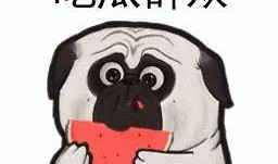 带你吃瓜的素材