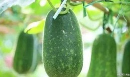 7月最新吃瓜,娱乐圈最新爆料大盘点