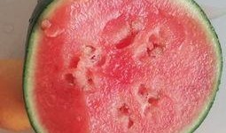 文水吃瓜视频,一场视觉盛宴背后的故事