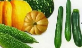 阿春吃瓜,揭秘娱乐圈那些不为人知的幕后故事