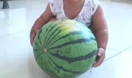 儿童吃瓜主题,儿童吃瓜盛宴，甜蜜滋味乐翻天