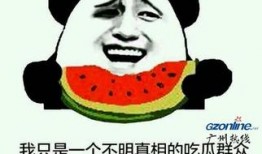 不懂的吃瓜群众怎么形容,如何轻松解读复杂事件