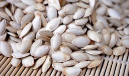 胃炎可以吃酉瓜吗,营养与健康的双重选择