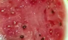 深夜吃瓜什么感觉,揭秘娱乐圈的酸甜苦辣