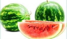 胃炎可以吃酉瓜吗,营养与健康的双重选择