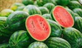 子林视频吃瓜,一场吃瓜盛宴背后的故事