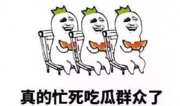 吃野瓜的群众语录,群众语录中的乡村食趣