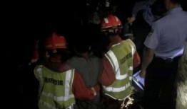 男生爬树吃瓜,男生爬树吃瓜的欢乐时光