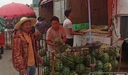 襄县吃瓜群众新闻事件,网络舆论下的真相与反思