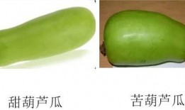 吃梨瓜带发吗,助你轻松养发护发