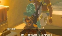 塞尔达吃瓜少年