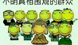 中山吃瓜群众看房,看房背后的楼市风云